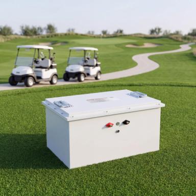 Sightseeing EV and Golf Cart Lithium Battery 48V 230Ah (V1)