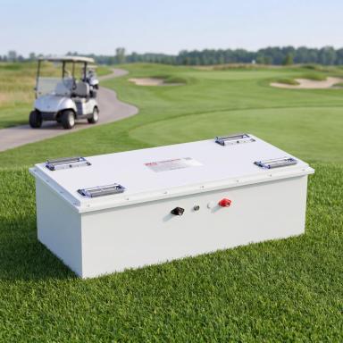 Sightseeing EV and Golf Cart Lithium Battery 48V 230Ah (V2)
