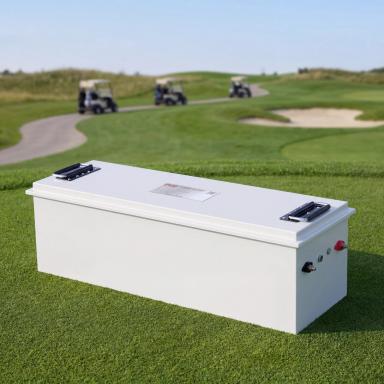 Sightseeing EV and Golf Cart Lithium Battery 48V 230Ah (V3)